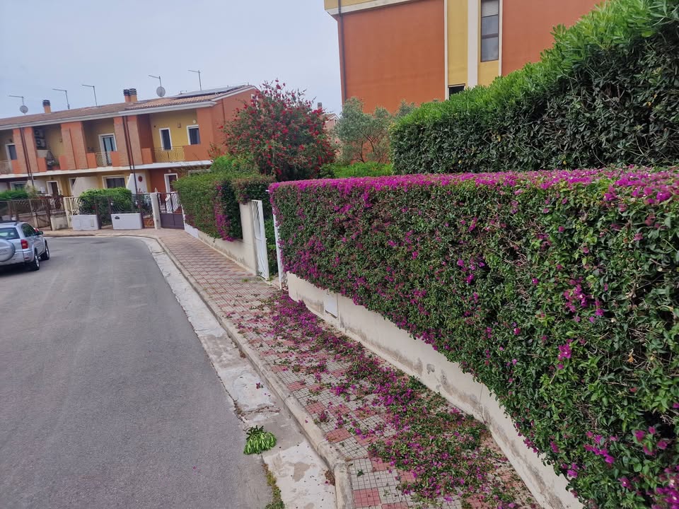 Abbattimenti e potature in quota