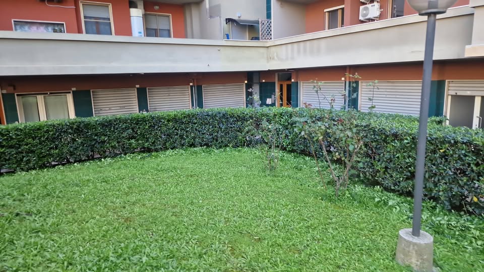 Cura e ripristino del prato
