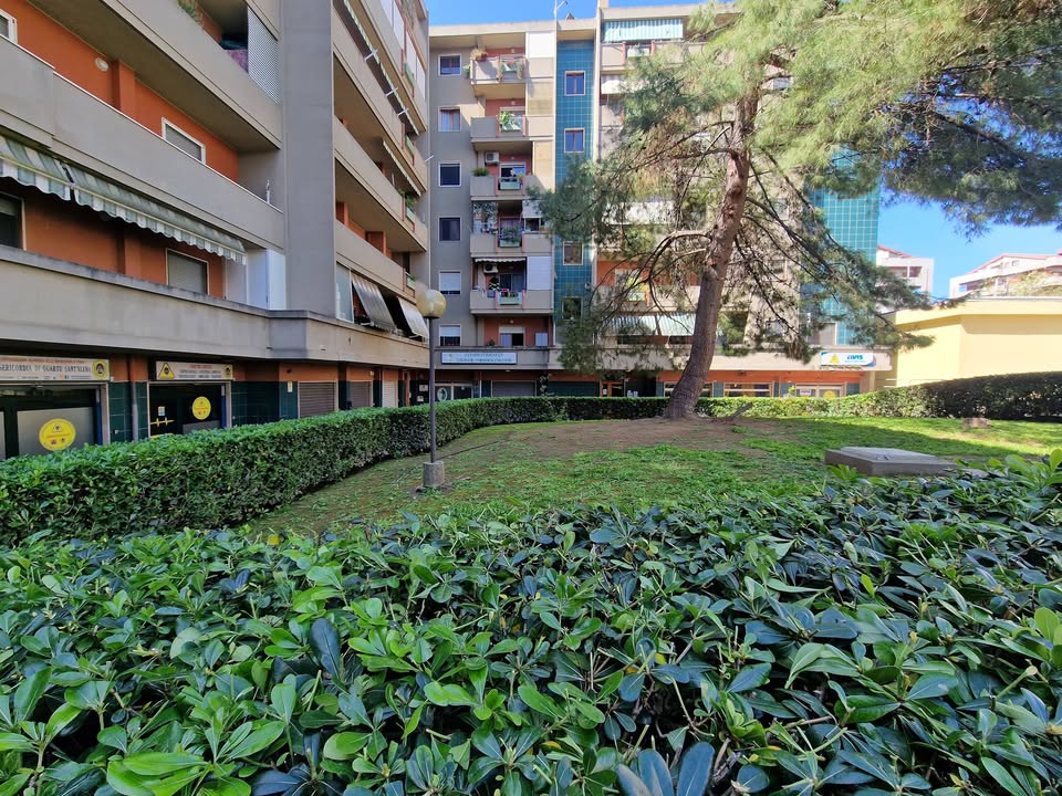 Verde condominiale curato a Cagliari